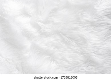Cloth furry white carpet background table top view light natural plush hairy, gray fluffy seamless cotton texture. Wrinkled lamb fur fibre skin, hair mat material, fleece woolly textiles bacground.