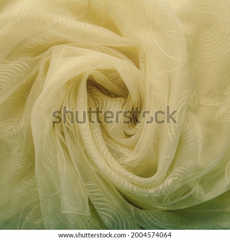 Similar – White Ranunculus Design