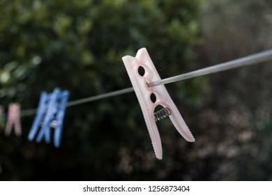clothe clamp on clamp line  - Shutterstock ID 1256873404