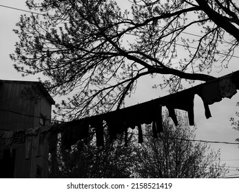 clothes washing line outside