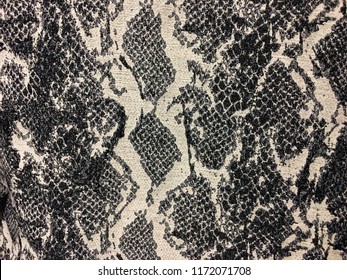 snake pattern clothes