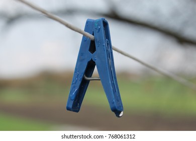 Clothespin, Clothespin On The Rain, Clothespin On The Wreath