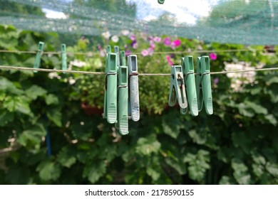 clothespins. Plastic clothespins hang in a row on the rope. Rope outdoors, on a blurred background in a sunny garden. clothesline on the street. Clothespins. old pegs on a rope.