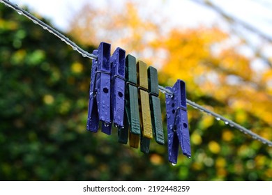 Clothespins Soaking Wet After Rain, On The Hanger