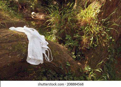 Clothing left on a tree beside a river where someone may be skinny dipping