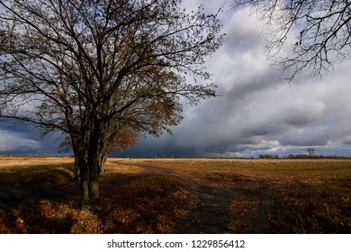 Cloud in autumn sky 