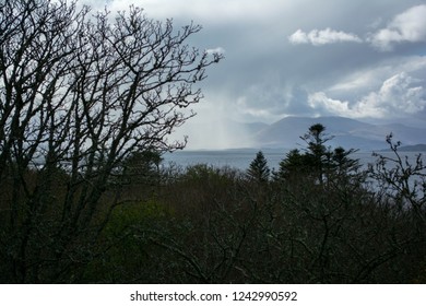 Cloud burst caught through trees