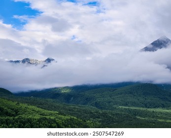 cloud covered forest and mountain