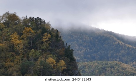 Cloud Covered Mountain and Trees. - Powered by Shutterstock