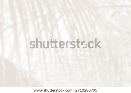 Cloud dancer color palm leaf blur. Monocrome texture 2026. Color of the year.