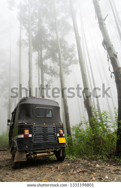 Cloud forest fog\
trees moody Tuk Tuk Sri\
Lanka