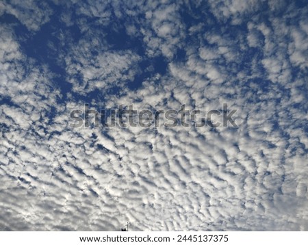 cloud scales in the sky,