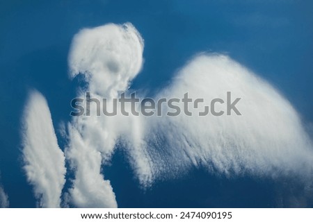 Cloud in the shape of an angel. Daytime blue sky with natural clouds. Pareidolia