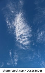 A Cloud In The Shape Of A Fish Swimming In The Sky Is Seen At Around 5 Pm In Bishan, Singapore In Oct 2021. This Image Is Good For Texture Or Background Prints.