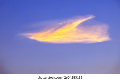 A cloud in the sky illuminated by the setting sun