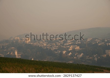 Cloud of smoke drifting toward Trier city, Germany, high fine dust levels, forest fires in High Fens, Belgium and North Rhine Westphalia, wind direction