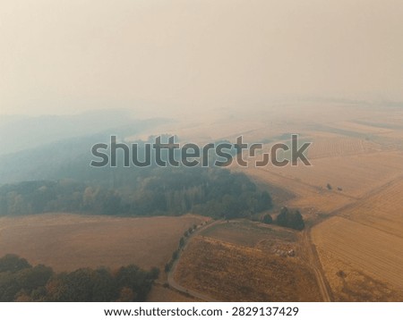 Cloud of smoke drifting toward Trier city, Germany, high fine dust levels, forest fires in High Fens, Belgium and North Rhine Westphalia, wind direction