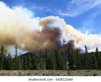 23 Spreading creek wildfire Images, Stock Photos & Vectors | Shutterstock