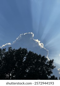 Cloud sun rays with trees. 
