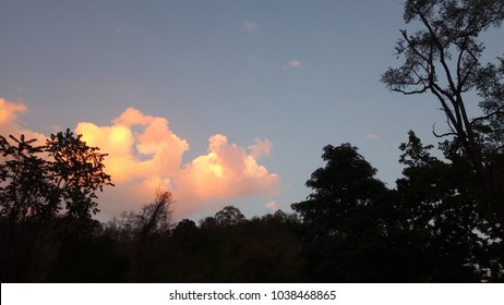 cloud with sunlight over tree.