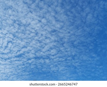 Cloud Texture: Altocumulus Clouds - A sky full of clouds with pattern 02 - Powered by Shutterstock - Get 15% off with code: PIKWIZARD15