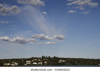 cloud tree view sky