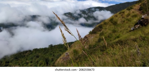 Cloud View Mountain At Intanon Thailand