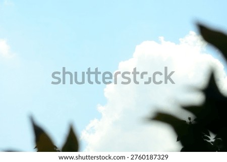 cloud wallpaper, cloud, blue, beautiful, background, sky, wallpaper, white, field, high, power pole, outdoors, light, image, design, colorful, adventure, decoration, landscape, jungle, foliage, growth, botany, air, abstract, concept, happy, card, backdrop, cloudscape, blink, artistic, dust, glamour, effect, golden, gold, grungy, holiday, illuminated, defocused, christmas, celebration, 