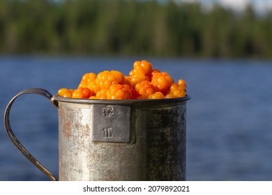 cloudberry is a sweet and vitamin-rich berry - Shutterstock ID 2079892021