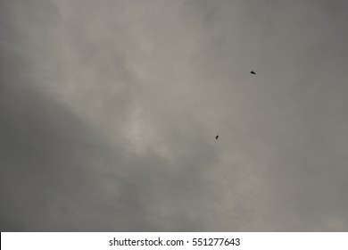 Clouds