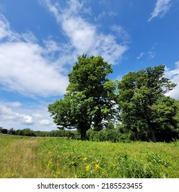 Clouds Above A Meadow, Central Massachusetts