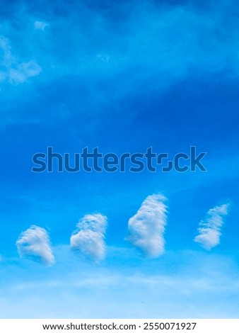 Similar – Image, Stock Photo I like that nature is always changing. There are endless possibilities. I would go someplace I’d researched and try to capture it as a perfect postcard at that moment. It can be a sunset, a sunrise, maybe some ferns, birches, and romantic green nature.