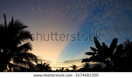 Similar – Image, Stock Photo twilight Lifestyle
