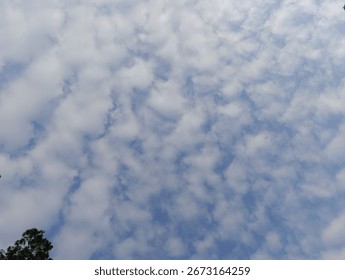 Clouds in the Blue Sky 
