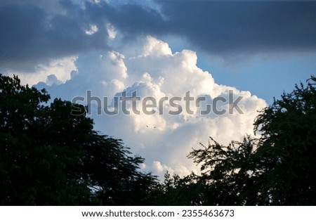 Clouds in the blue sky over the forest in the evening.
