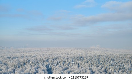 Clouds In The Blue Sky Over A Winter Forest With Snow Covered Trees , Timelapse