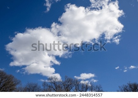 clouds bright blue sky in park 