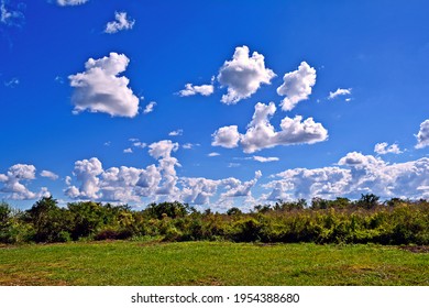 Clouds And Coconut Plants, Formosa Argentina