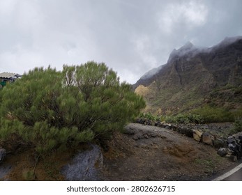 Clouds drift over a dramatic mountain range above a rocky path and native green shrubs, creating a moody natural landscape scene in overcast weather.