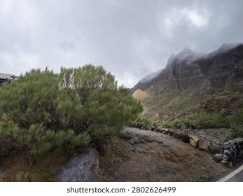 Clouds drift over a rugged mountain valley with green shrubs, rocky ground, and a natural hiking path under an overcast sky.