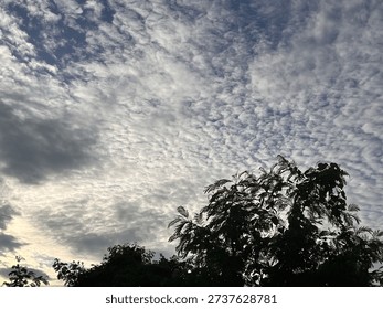 Clouds Drifting Over Silent Trees.