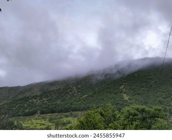 clouds are falling on mountains and trees 