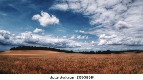 CLOUDS AND FIELDS