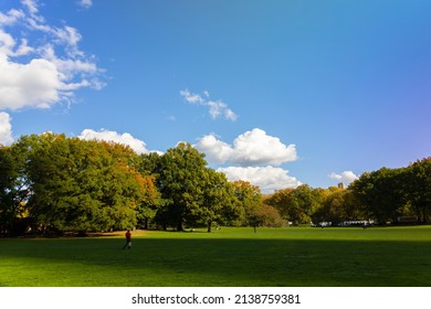 4,478 Sheep row Images, Stock Photos & Vectors | Shutterstock