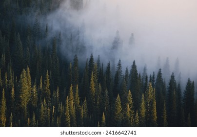 Clouds flow through the trees and valleys below Noble Knob in the Norse Peak Wilderness. The wilderness area is in the Cascade Mountains, to the northwest of Mt. Rainier Nat Park, in Washington State.