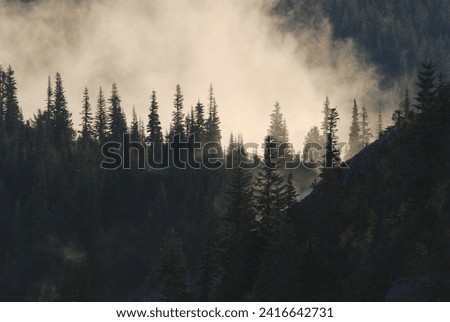 Clouds flow through the trees and valleys below Noble Knob in the Norse Peak Wilderness. The wilderness area is in the Cascade Mountains, to the northwest of Mt. Rainier Nat Park, in Washington State.