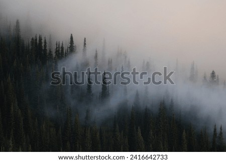 Clouds flow through the trees and valleys below Noble Knob in the Norse Peak Wilderness. The wilderness area is in the Cascade Mountains, to the northwest of Mt. Rainier Nat Park, in Washington State.