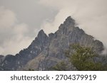 Clouds gently wrap around rugged mountain peaks, creating a mysterious landscape. A rich green forest base surrounds the mountains, highlighting the dramatic scenery at dawn.