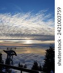 Up in the clouds at Grouse Mountain