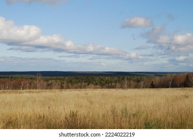 Clouds hang over the field in even rows. On an autumn sunny day, cumulus clouds hang over a distant forest and a meadow with yellowed grass. The White Clouds lined up in long, even rows. - Shutterstock ID 2224022219